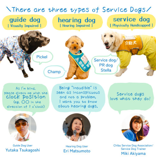 グラフィックレコーディング(グラレコ):able@Tokyo「Service Animals and Travel」補助犬と旅行 英語版 補助犬の3つの種類(guide dog・hearing dog・service dog)