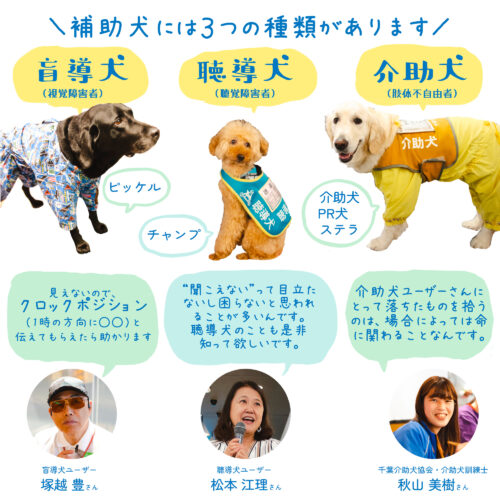 グラフィックレコーディング(グラレコ):able@Tokyo「Service Animals and Travel」補助犬と旅行 補助犬の3つの種類(盲導犬・聴導犬・介助犬)