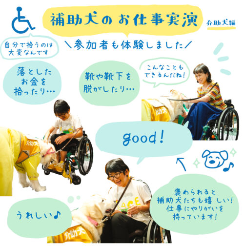 グラフィックレコーディング(グラレコ):able@Tokyo「Service Animals and Travel」補助犬と旅行 補助犬のお仕事実演(介助犬編)