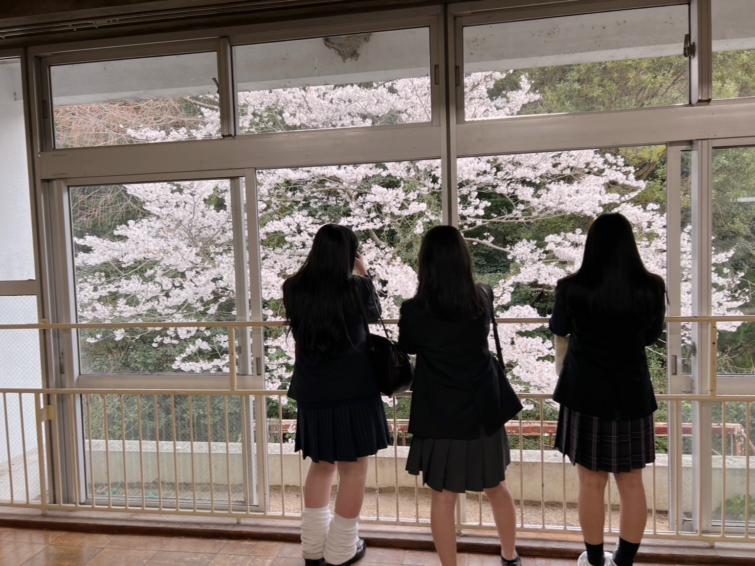 春の北灘西小学校